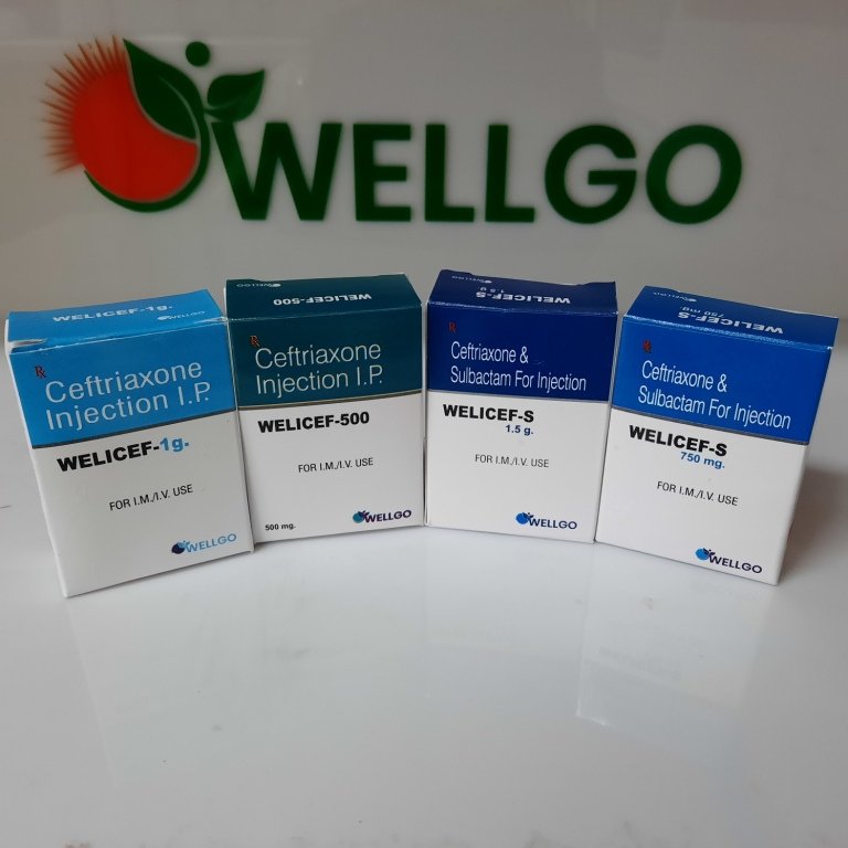 Ceftriaxone dry injection range pharma franchise