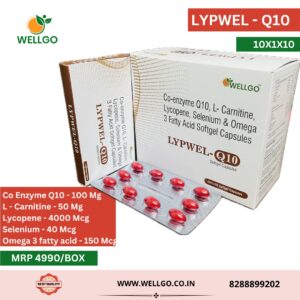 LYPWEL Q10
