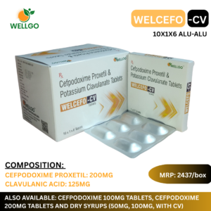 WELCEFO CV