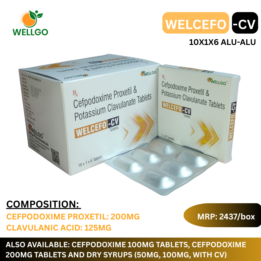 WELCEFO CV