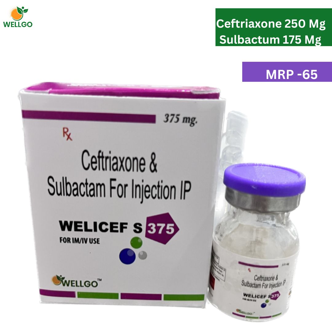 WELICEF 375 (Inj)