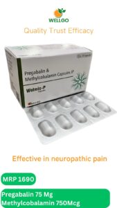 WELMIC -P