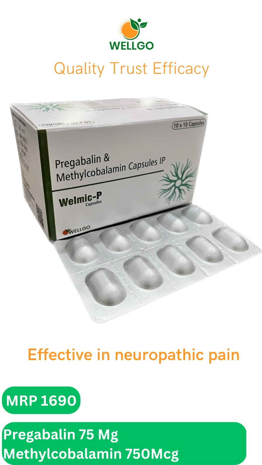 WELMIC -P