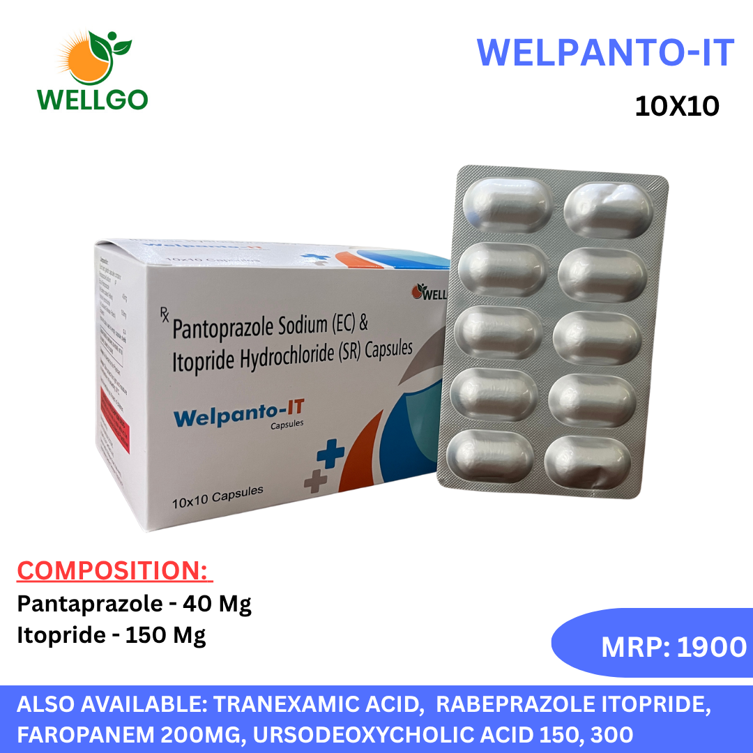 WELPANTO-IT